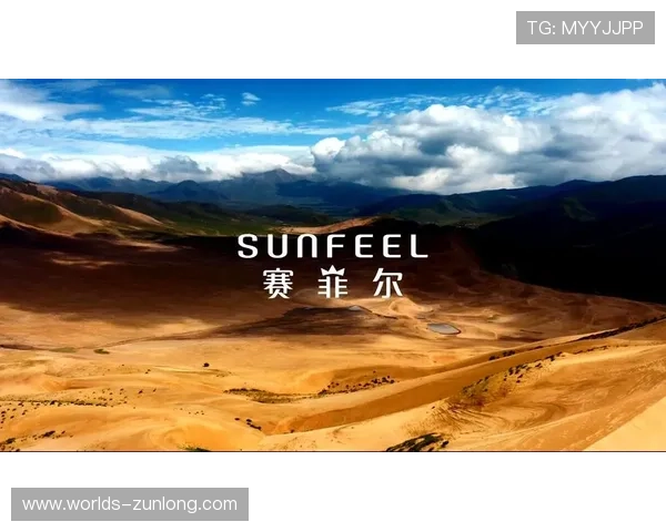 尊龙凯时人生就博官网登录:深入分析平台背后的成功密码与发展趋势